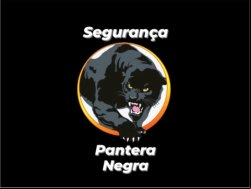 SEGURANÇA PANTERA NEGRA